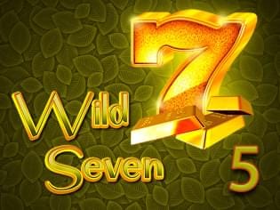Wild Seven 5 screenshot